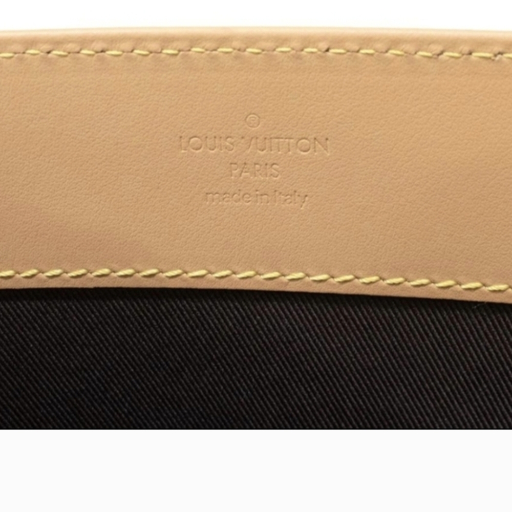 Louis Vuitton X Tyler the Creator 2024 Craggy Vanilla Sac Plat - Picture 4 of 16